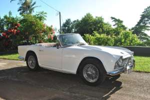 Triumph TR4 for Sale